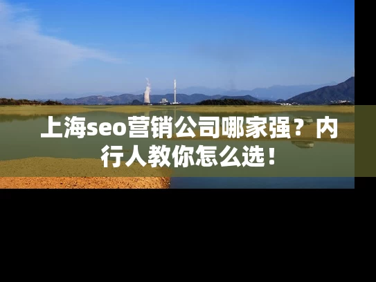 上海seo营销公司哪家强？内行人教你怎么选！