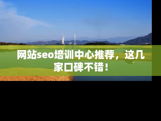 网站seo培训中心推荐，这几家口碑不错！