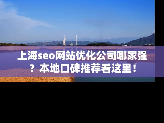 上海seo网站优化公司哪家强？本地口碑推荐看这里！