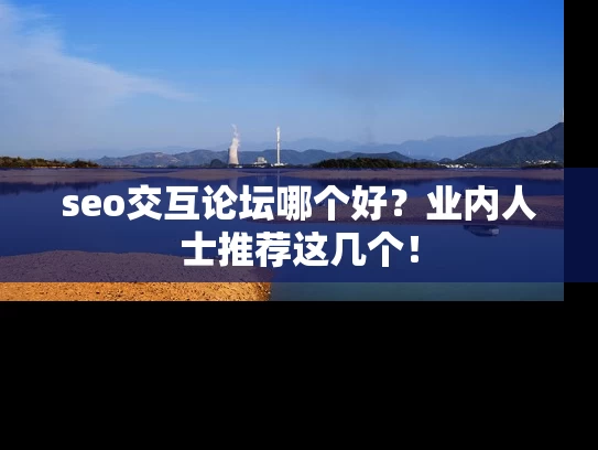 seo交互论坛哪个好？业内人士推荐这几个！