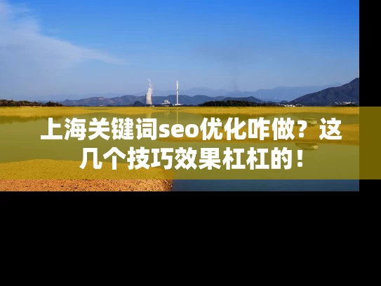 上海关键词seo优化咋做？这几个技巧效果杠杠的！