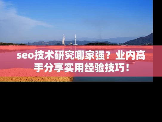 seo技术研究哪家强？业内高手分享实用经验技巧！