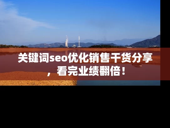 关键词seo优化销售干货分享，看完业绩翻倍！