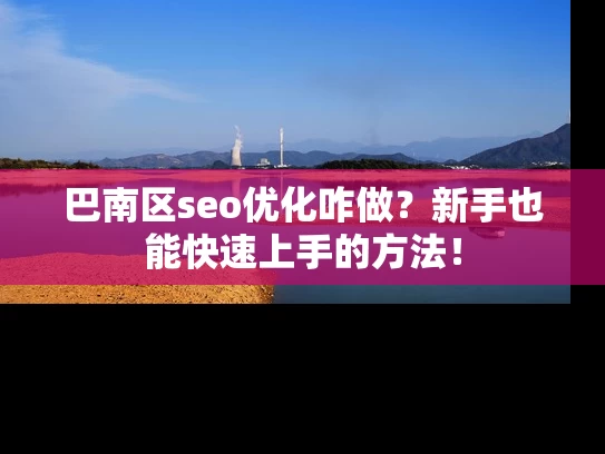 巴南区seo优化咋做？新手也能快速上手的方法！