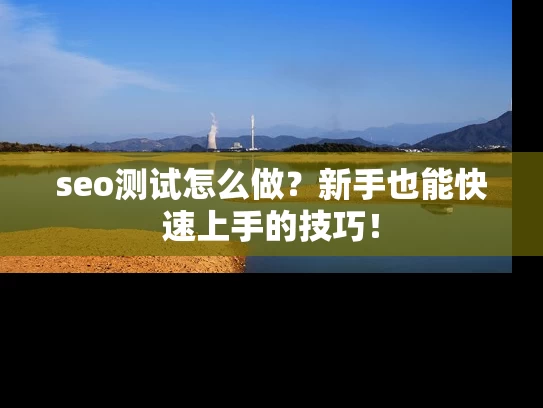 seo测试怎么做？新手也能快速上手的技巧！