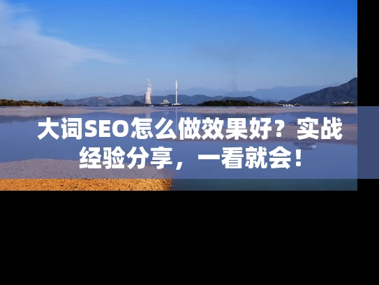大词SEO怎么做效果好？实战经验分享，一看就会！