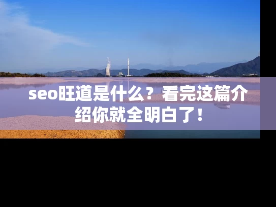 seo旺道是什么？看完这篇介绍你就全明白了！