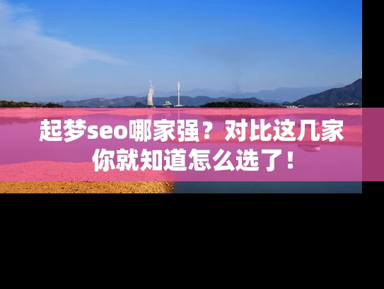 起梦seo哪家强？对比这几家你就知道怎么选了！