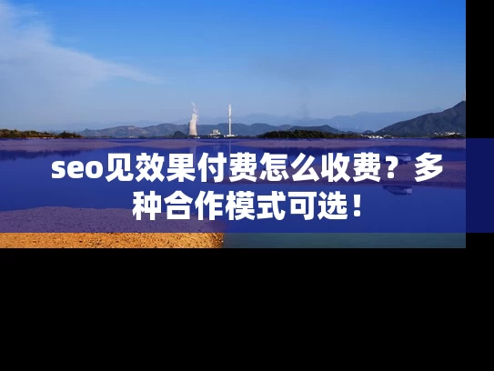 seo见效果付费怎么收费？多种合作模式可选！