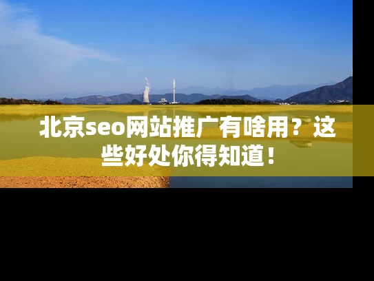 北京seo网站推广有啥用？这些好处你得知道！
