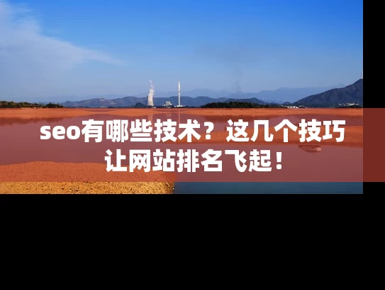 seo有哪些技术？这几个技巧让网站排名飞起！