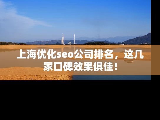 上海优化seo公司排名，这几家口碑效果俱佳！