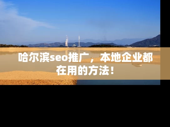 哈尔滨seo推广，本地企业都在用的方法！