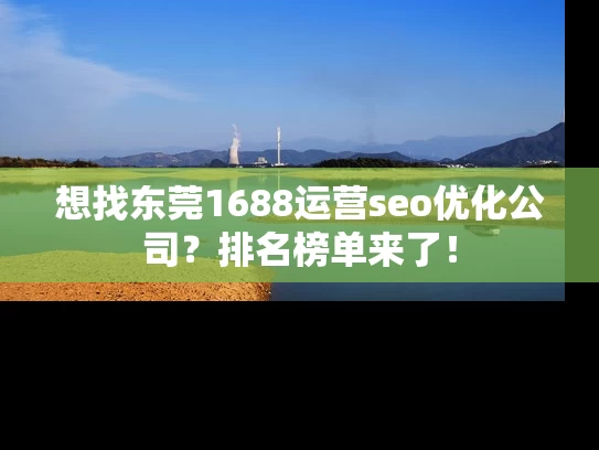 想找东莞1688运营seo优化公司？排名榜单来了！
