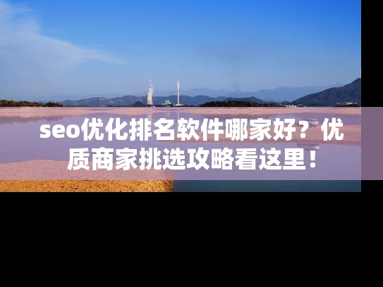 seo优化排名软件哪家好？优质商家挑选攻略看这里！