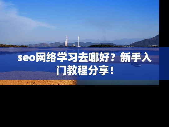 seo网络学习去哪好？新手入门教程分享！