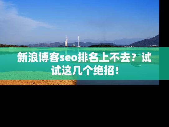 新浪博客seo排名上不去？试试这几个绝招！