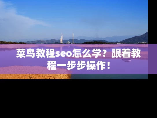 菜鸟教程seo怎么学？跟着教程一步步操作！