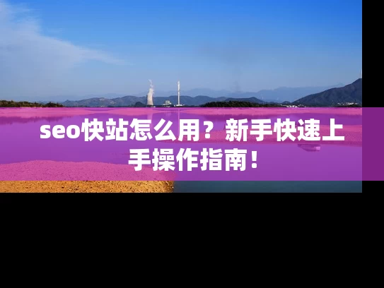 seo快站怎么用？新手快速上手操作指南！