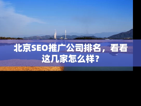 北京SEO推广公司排名，看看这几家怎么样？