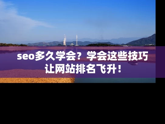 seo多久学会？学会这些技巧让网站排名飞升！