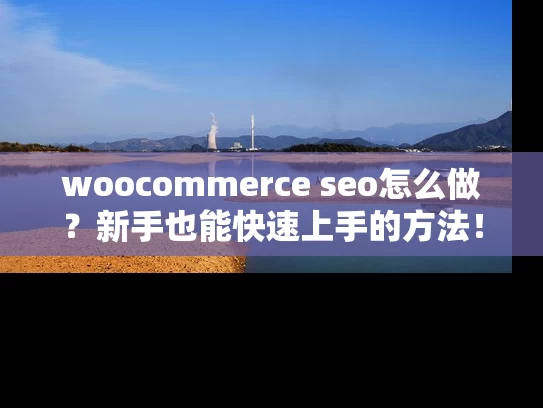 woocommerce seo怎么做？新手也能快速上手的方法！