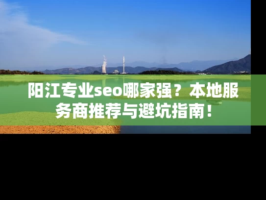阳江专业seo哪家强？本地服务商推荐与避坑指南！