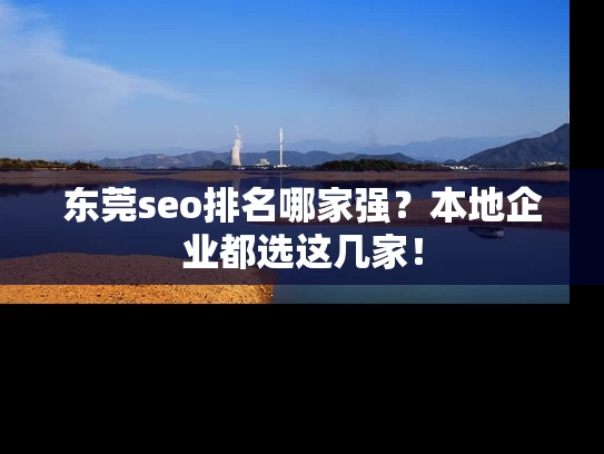 东莞seo排名哪家强？本地企业都选这几家！