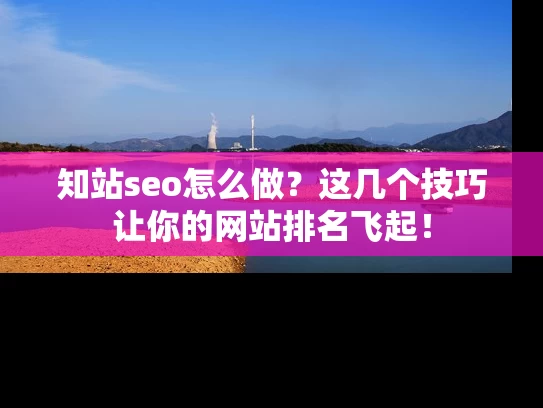 知站seo怎么做？这几个技巧让你的网站排名飞起！