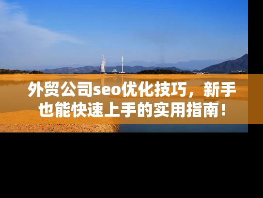 外贸公司seo优化技巧，新手也能快速上手的实用指南！