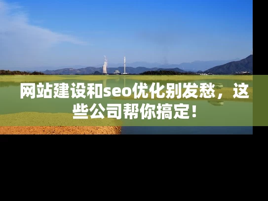 网站建设和seo优化别发愁，这些公司帮你搞定！