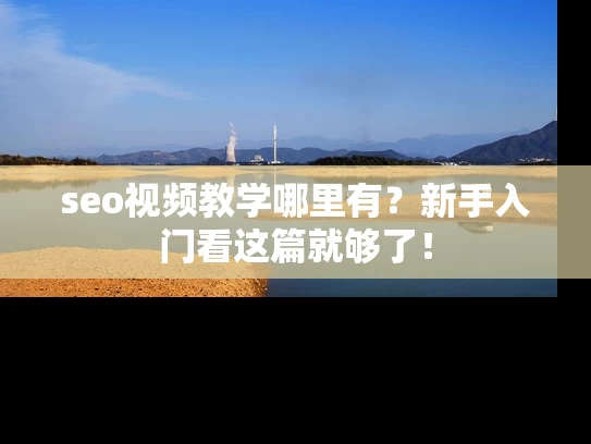 seo视频教学哪里有？新手入门看这篇就够了！