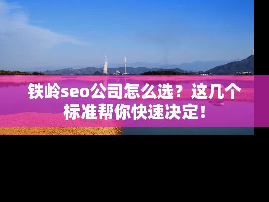 铁岭seo公司怎么选？这几个标准帮你快速决定！