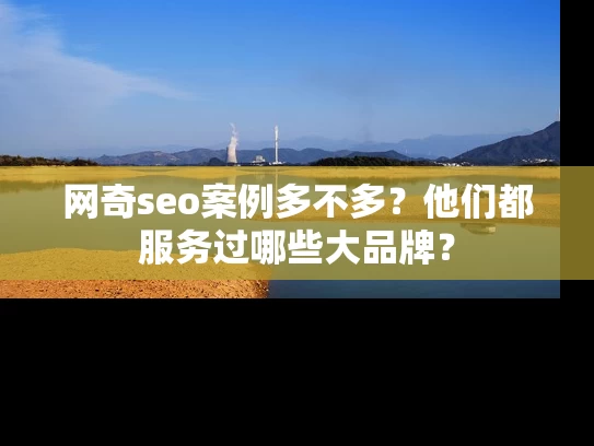 网奇seo案例多不多？他们都服务过哪些大品牌？