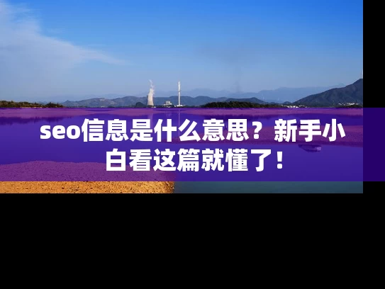seo信息是什么意思？新手小白看这篇就懂了！