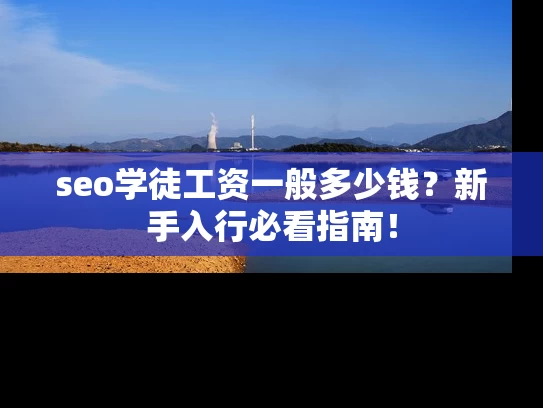 seo学徒工资一般多少钱？新手入行必看指南！