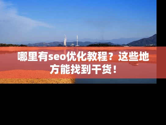 哪里有seo优化教程？这些地方能找到干货！