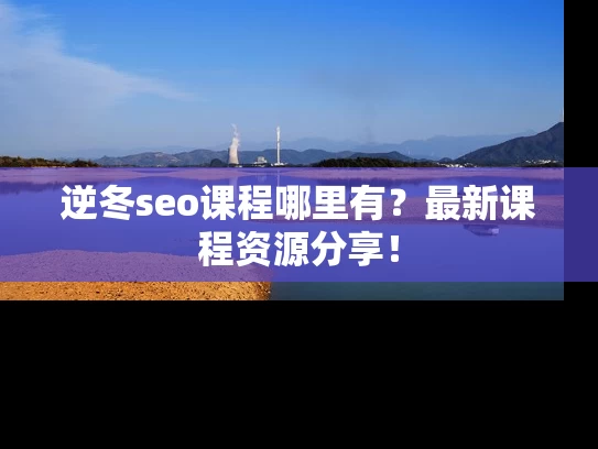 逆冬seo课程哪里有？最新课程资源分享！