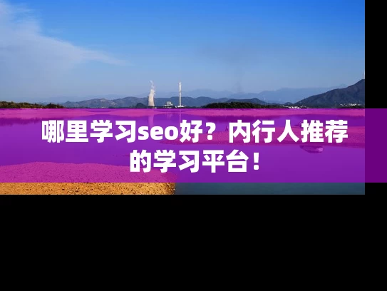 哪里学习seo好？内行人推荐的学习平台！