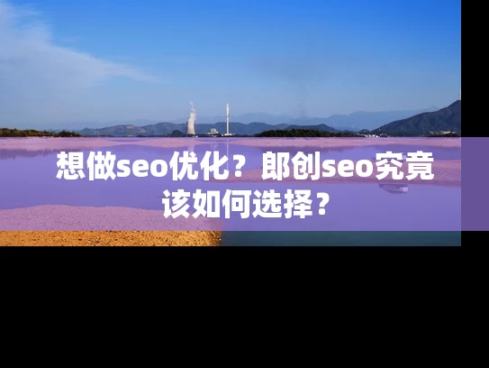 想做seo优化？郎创seo究竟该如何选择？