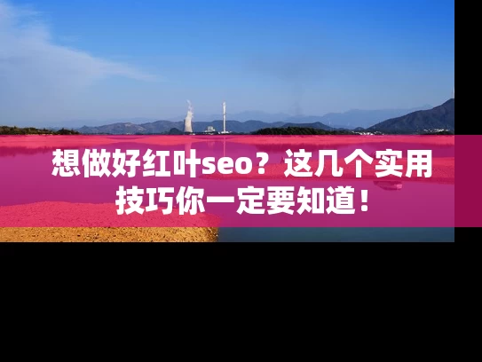 想做好红叶seo？这几个实用技巧你一定要知道！