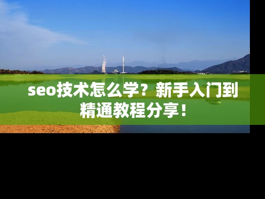 seo技术怎么学？新手入门到精通教程分享！