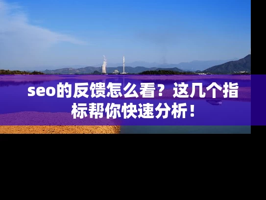 seo的反馈怎么看？这几个指标帮你快速分析！