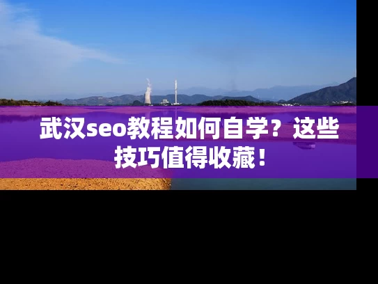 武汉seo教程如何自学？这些技巧值得收藏！