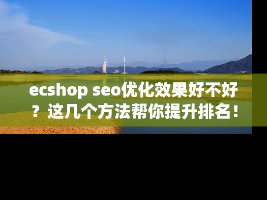 ecshop seo优化效果好不好？这几个方法帮你提升排名！