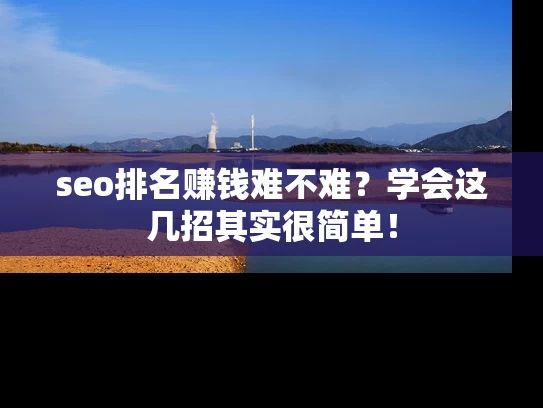 seo排名赚钱难不难？学会这几招其实很简单！