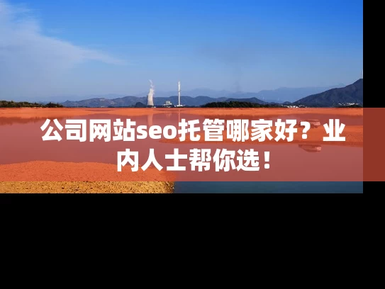 公司网站seo托管哪家好？业内人士帮你选！