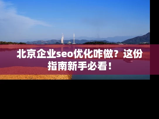 北京企业seo优化咋做？这份指南新手必看！