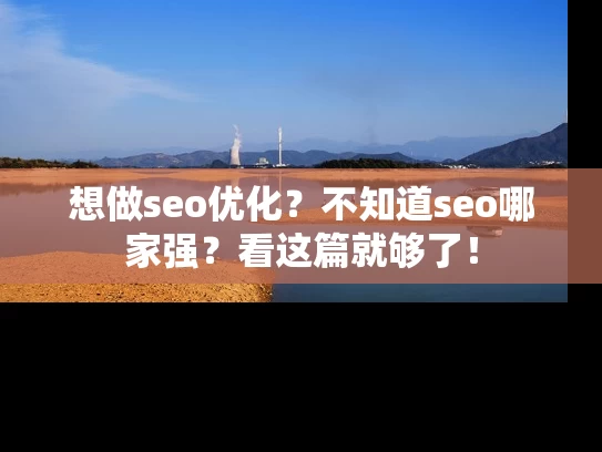 想做seo优化？不知道seo哪家强？看这篇就够了！