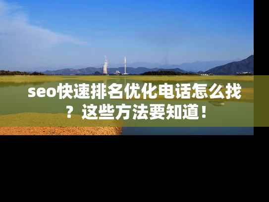 seo快速排名优化电话怎么找？这些方法要知道！